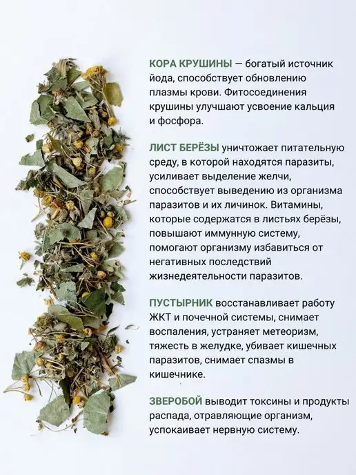 Дивеевское подворье Антипаразитарный комплекс для человека сбор очищающий, вариант, фото 5