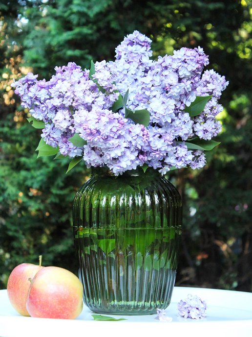 Купить вазы для цветов недорого в Москве в интернет-магазине Gipfel, каталог и цены