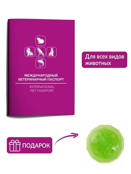 DOGLIKE Паспорт ветеринарный + тарелка космос в подарок!, фиолетовый