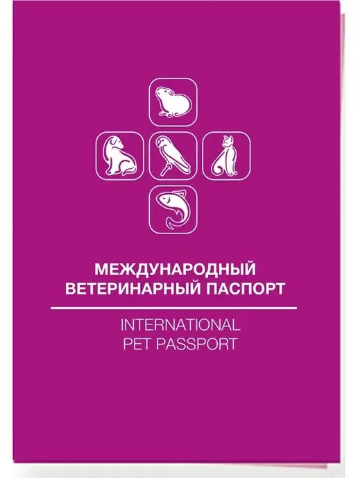 DOGLIKE Паспорт ветеринарный + тарелка космос в подарок!, фиолетовый, фото 3