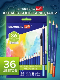 Карандаши цветные акварельные художественные, 36 цветов Brauberg 66113330 купить за 494 ₽ в интернет-магазине Wildberries