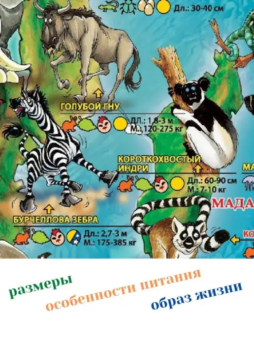 GlobusOff Обзорная карта Мира для детей "Животные" 137 х 97 см, вариант, фото 2