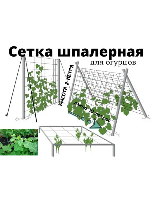 Сетка ПК Сетка шпалерная для огурцов и въющися 2х10м, ячейка 170 мм, 2x10 м, фото 4