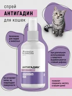 Интернет-магазин Wildberries: широкий ассортимент товаров - скидки каждый день!