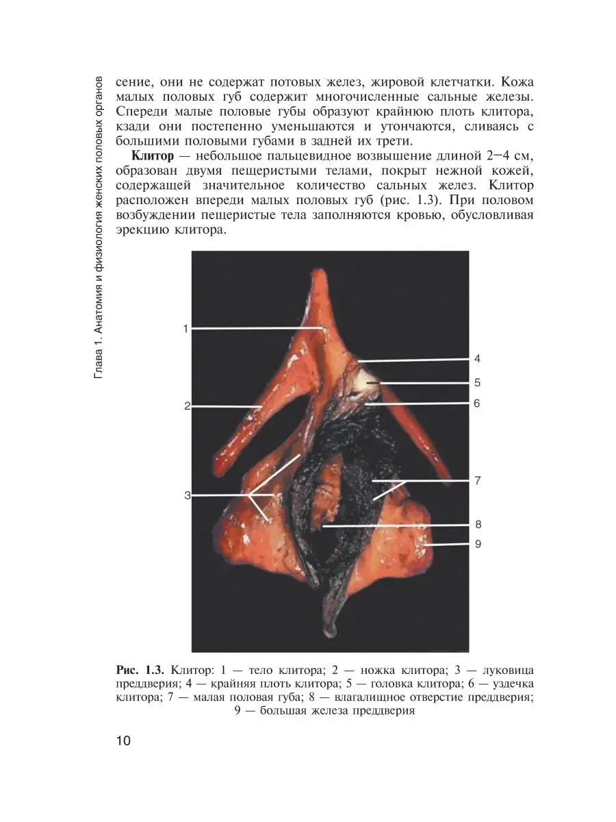 10 интимных фактов, которые должна знать каждая женщина