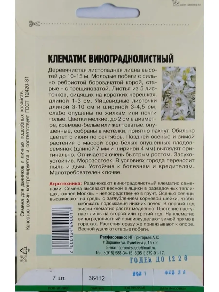 Клематис Виноградолистный 7шт семян ИП Григорьев А.Ю. 66353396 купить за  135 ₽ в интернет-магазине Wildberries