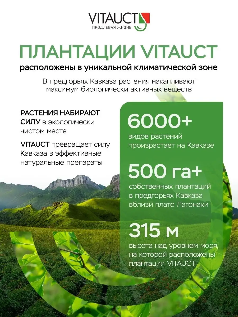 Дианет Витаукт Уровень сахара в норме! VITAUCT 66367579 купить за 844 ₽ в  интернет-магазине Wildberries