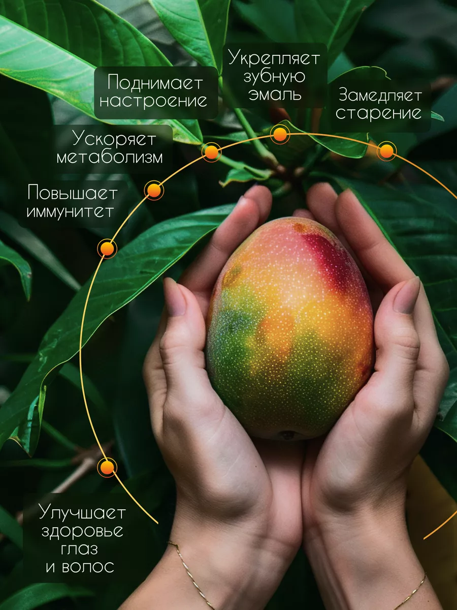 Манго сушеное 1 кг без сахара BioHerb 66377618 купить за 1 115 ₽ в  интернет-магазине Wildberries