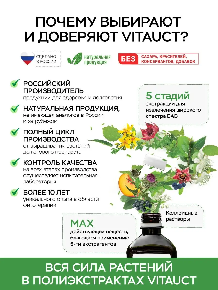 Хорда лайт ВИТАУКТ VITAUCT 66381815 купить за 855 ₽ в интернет-магазине  Wildberries