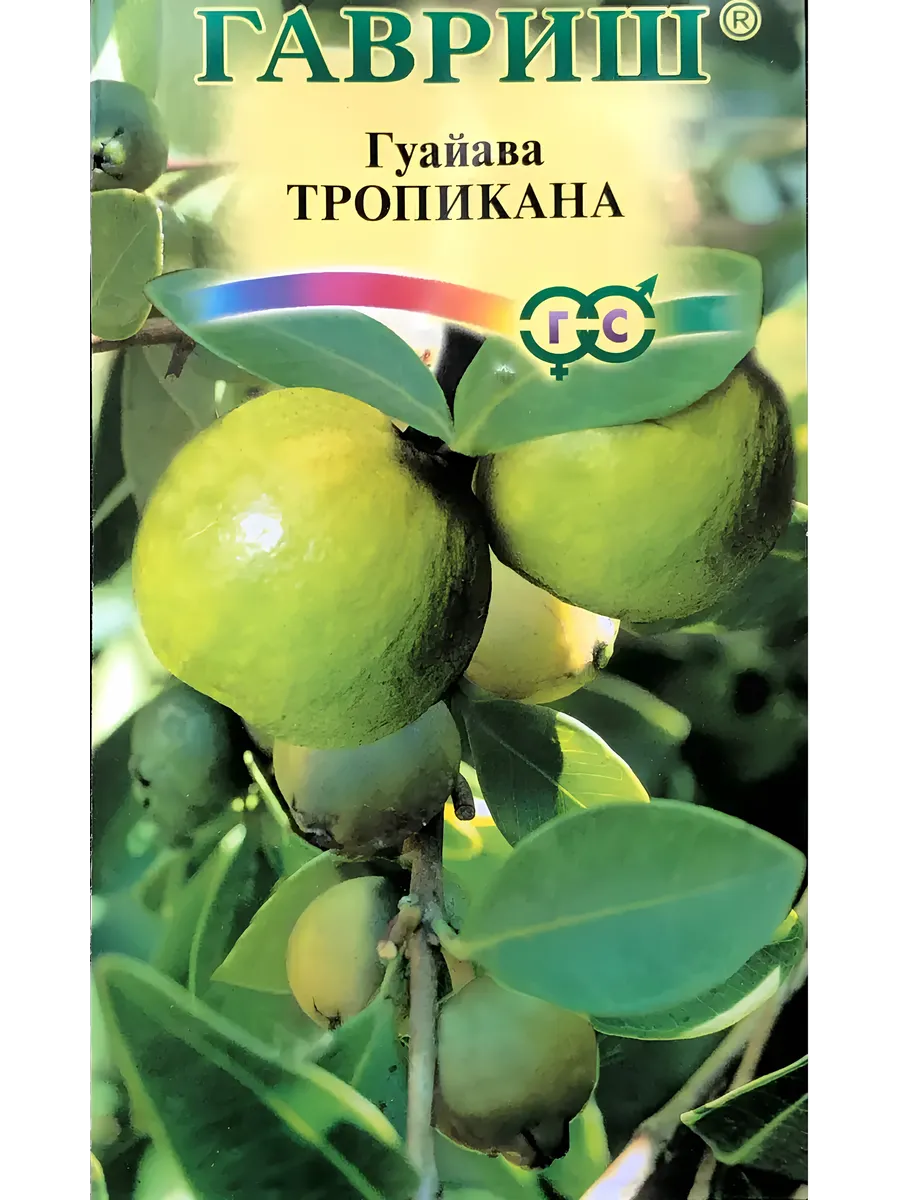 Семена Гуайава Тропикана