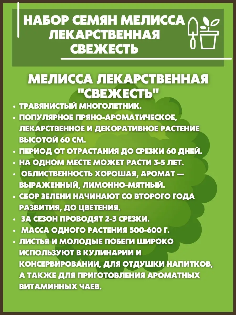 Семена мелисса лекарственная Свежесть трава для чая Семена Алтая 66436700  купить за 80 ₽ в интернет-магазине Wildberries