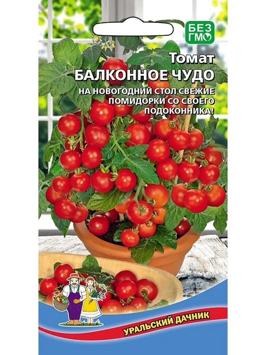 Балконное Чудо Помидоры Купить Семена В Москве