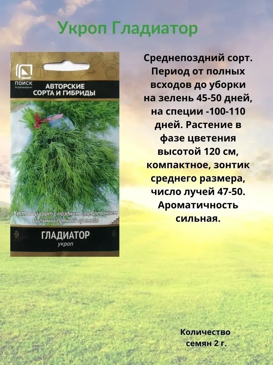 Семена зелени Агрохолдинг Поиск 66499071 купить за 193 ₽ в  интернет-магазине Wildberries