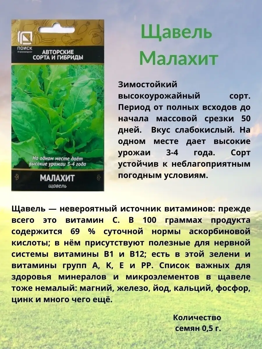 Семена зелени Агрохолдинг Поиск 66499071 купить за 193 ₽ в  интернет-магазине Wildberries