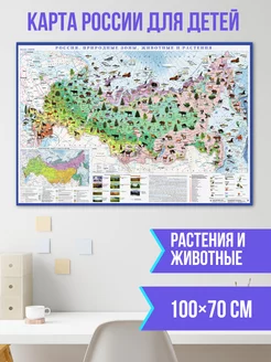 Карта России на стену для детей растения и животные 100х70см Атлас принт 66510864 купить за 443 ₽ в интернет-магазине Wildberries