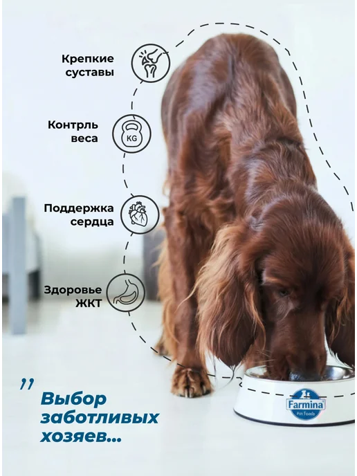 Сухой корм Farmina. для собак, средние, ягненок, 2,5 кг, фото 2