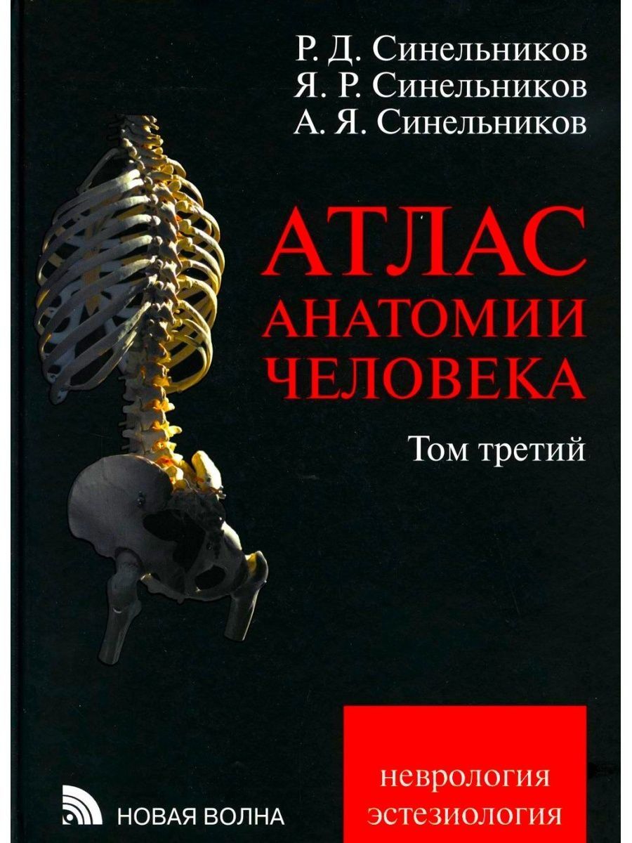 Атлас синельникова анатомия 2 том. Синельников атлас. Анатомический атлас человека. Атлас по анатомии Синельников. Атлас анатомии человека Синельников 1 том.