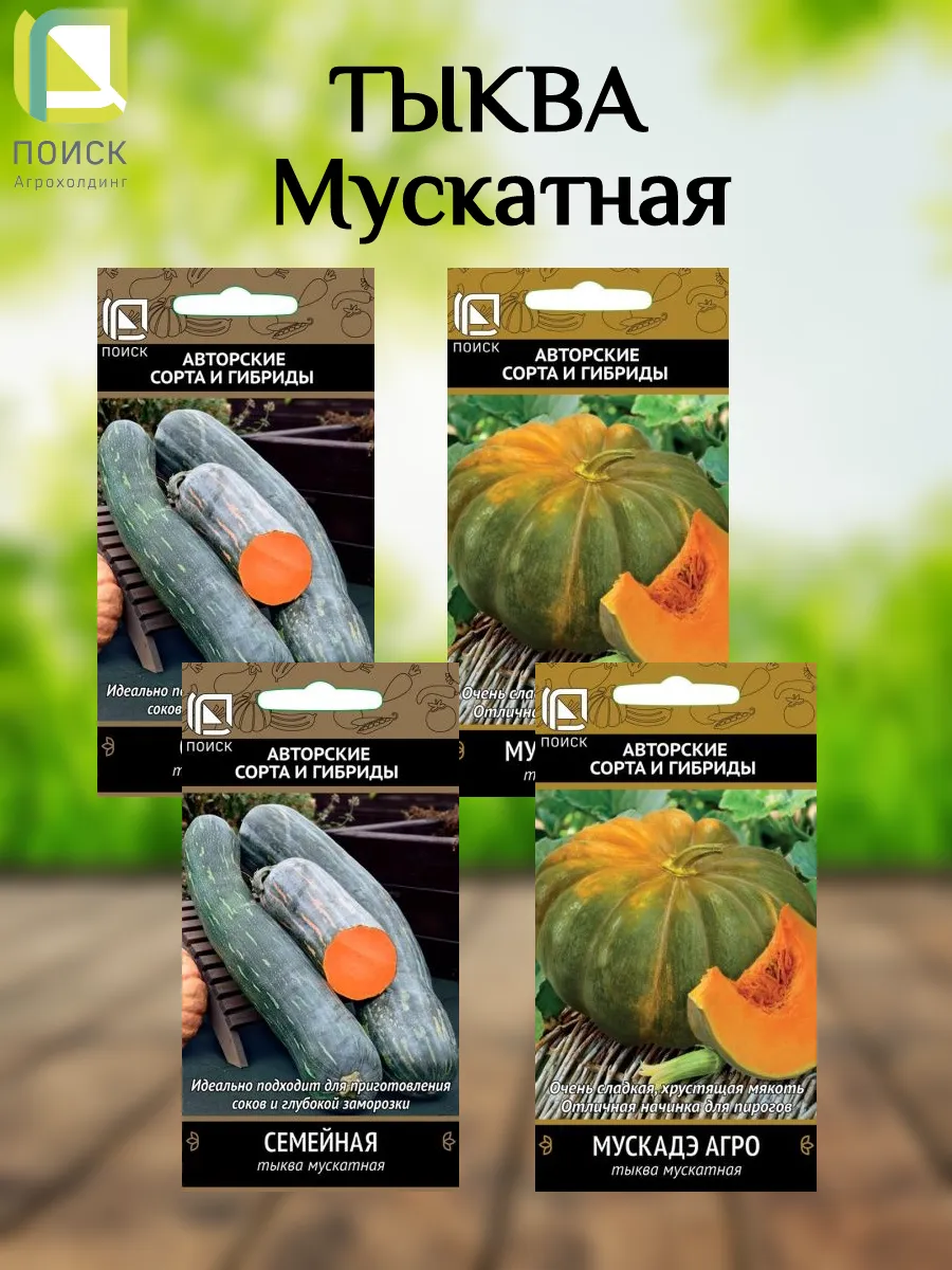 Семена Тыква мускатная