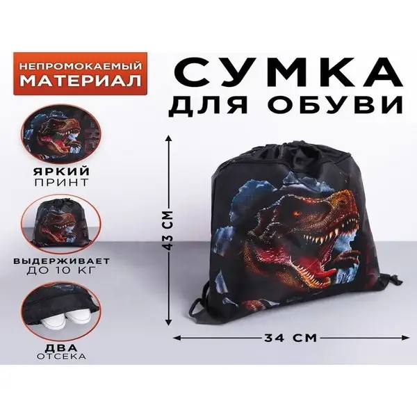 Мешок для обуви "T-REX", 41х34 см