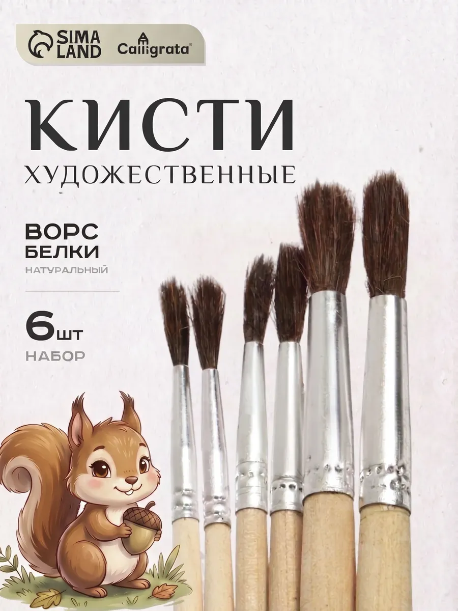 Набор кистей белка круглые, 6 штук