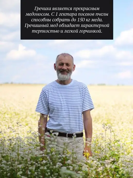 Добрый пасечник Гречишный мед густой 500 г, 500 г, фото 3