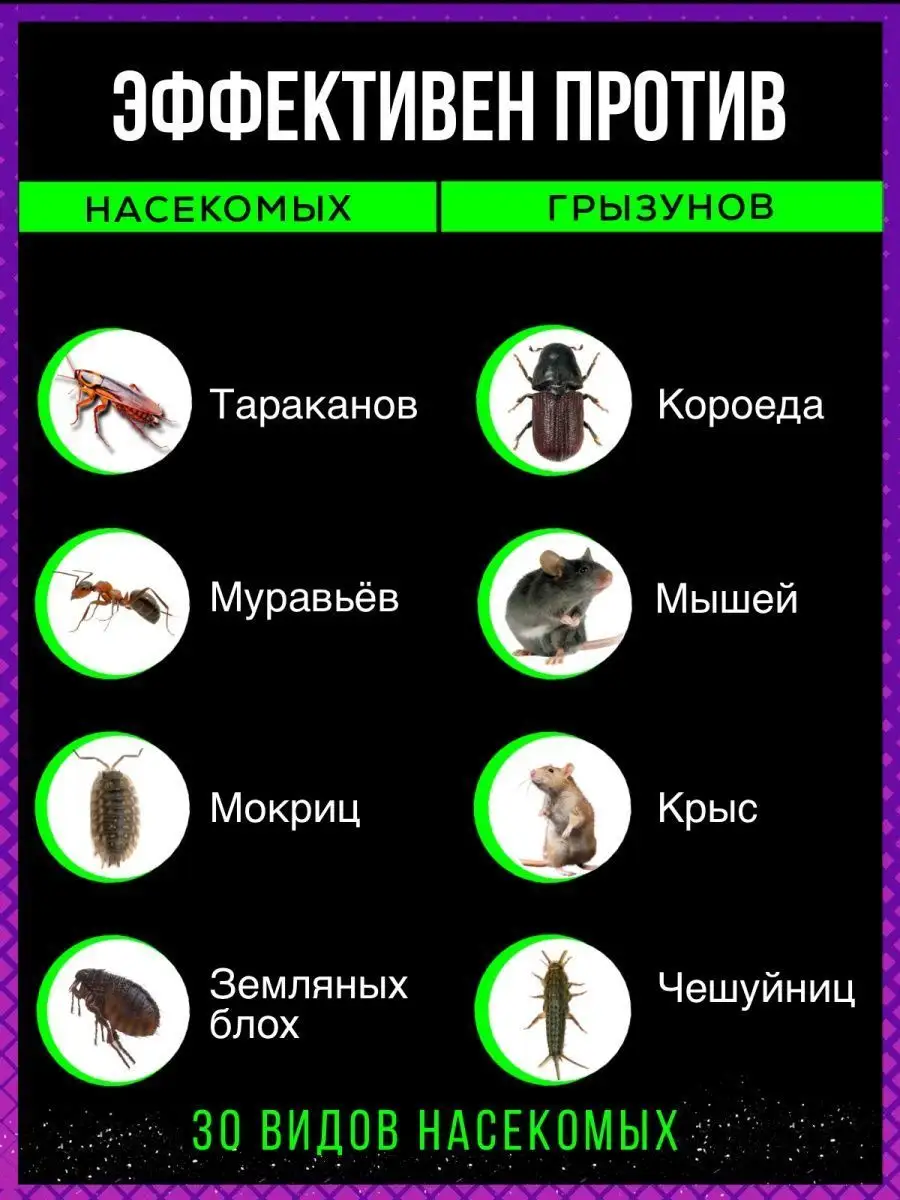 Средство от тараканов и насекомых 200г Тиурам от тараканов и грызунов  67000799 купить за 695 ₽ в интернет-магазине Wildberries