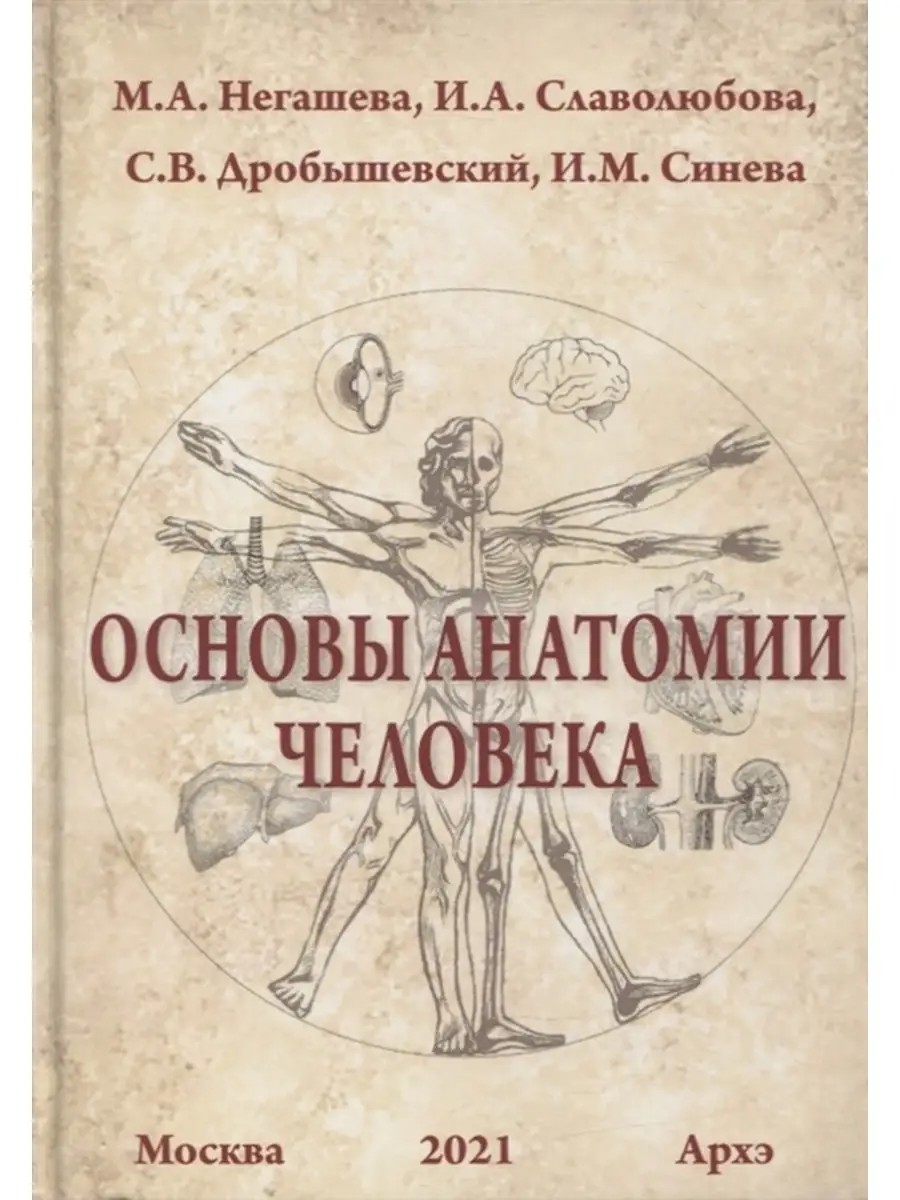 Основы анатомии человека