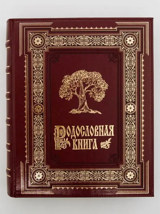 Книжный дом Бекетова Родословная книга Ампир экокожа в подарочной коробке, красный, фото 3
