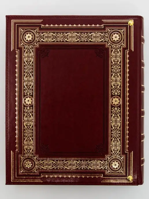 Книжный дом Бекетова Родословная книга Ампир экокожа в подарочной коробке, красный, фото 4