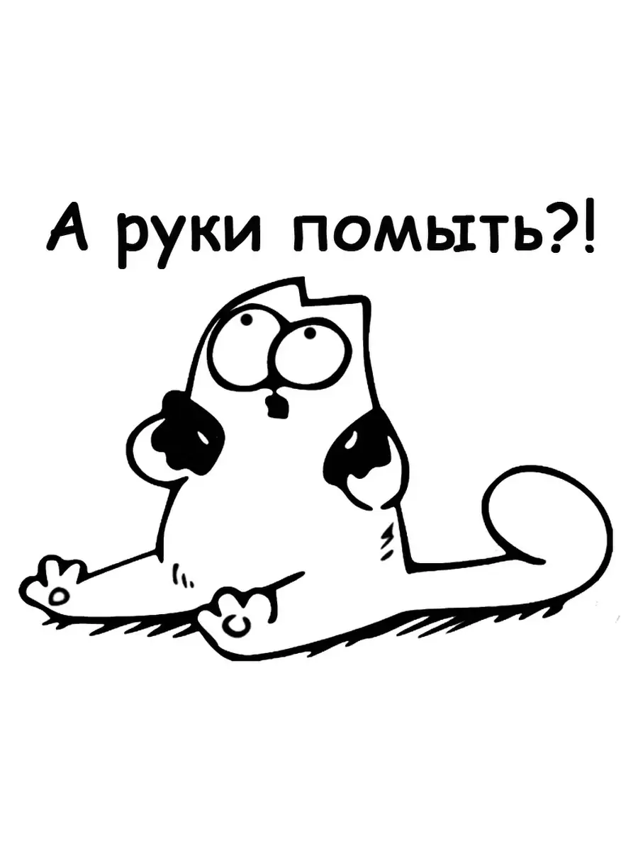 Коте руки мыть. Мокрый кот. Котик умывается лапкой. Мытье кошки. Кошка в раковине фото.