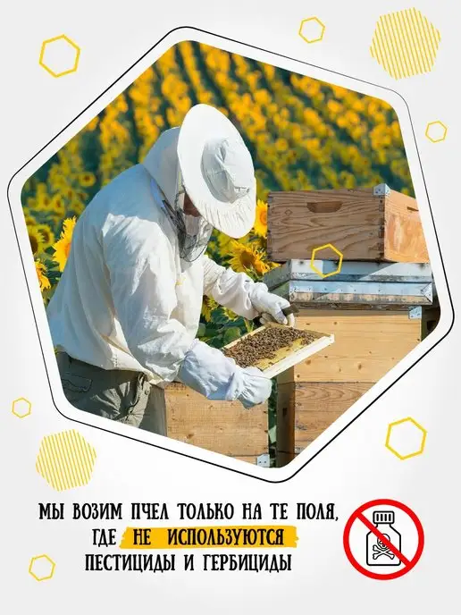 Мёд семьи Мамдеевых Натуральный мед, 15 кг, пп продукты, зож, 15 кг, фото 7