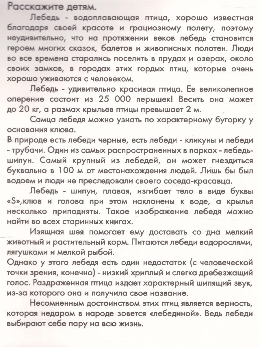 Городские птицы. Дидактические карточки Маленький гений-Пресс 67142799  купить в интернет-магазине Wildberries