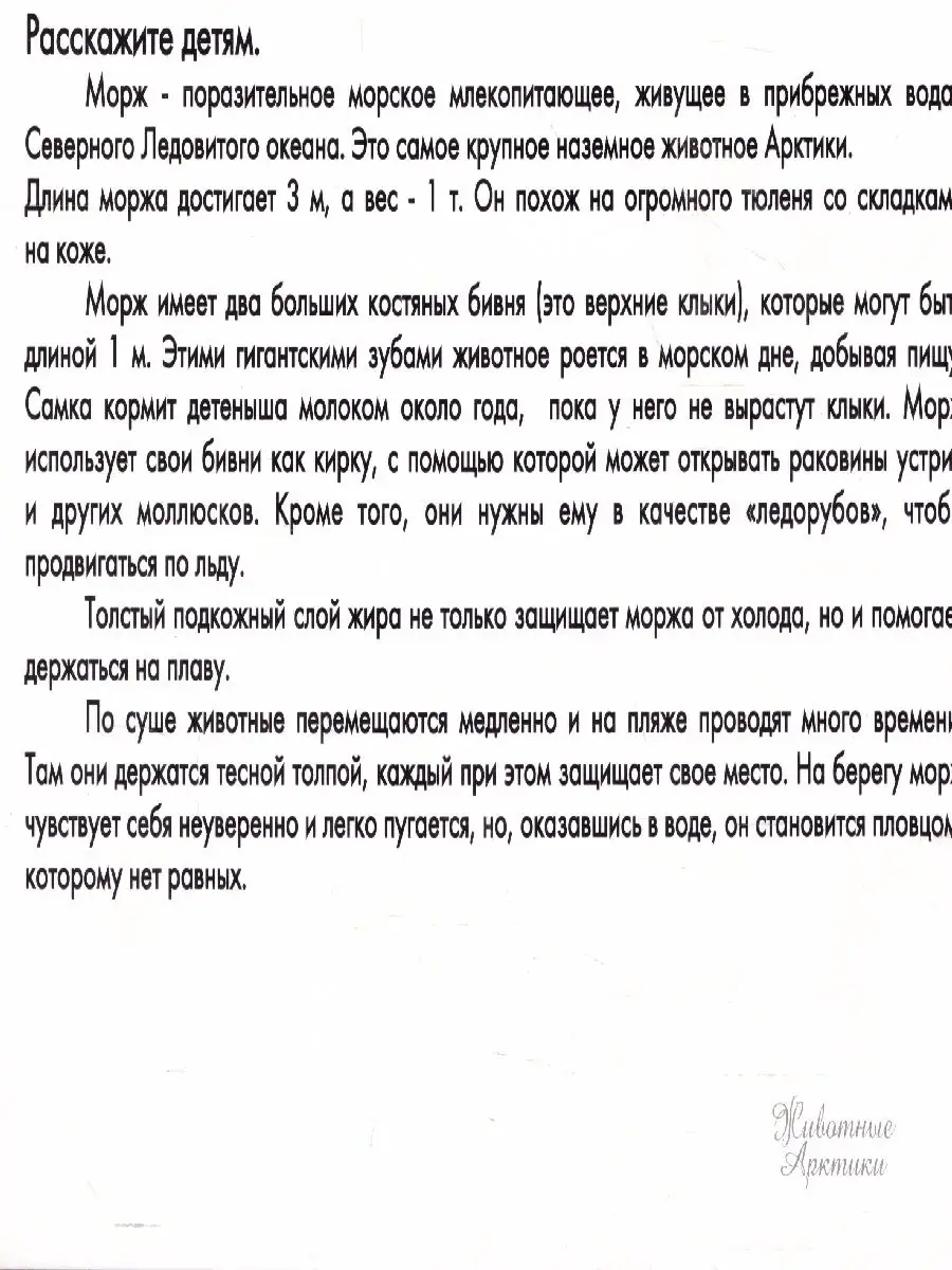 Животные Арктики и Антарктики. Дидактические карточки Маленький гений-Пресс  67142817 купить в интернет-магазине Wildberries