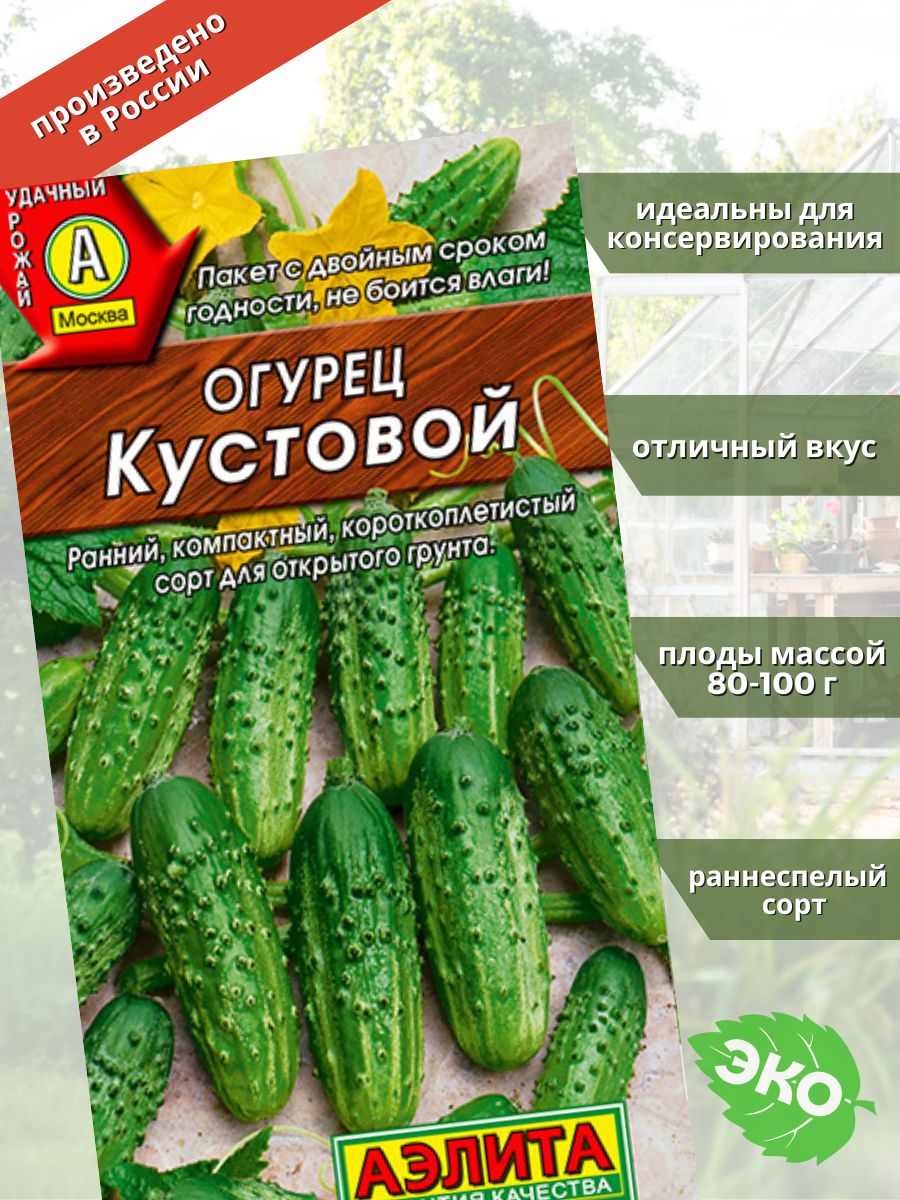 Огурец кустовой описание отзывы фото