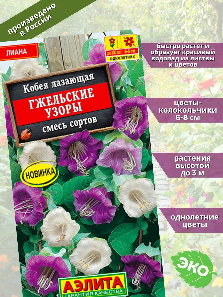 Кобея Гжельские узоры Агрофирма Аэлита 67236262 купить за 140 ₽ в  интернет-магазине Wildberries