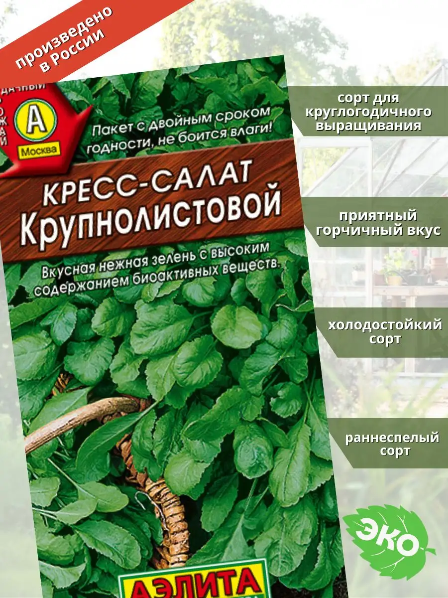 Кресс-салат Крупнолистовой