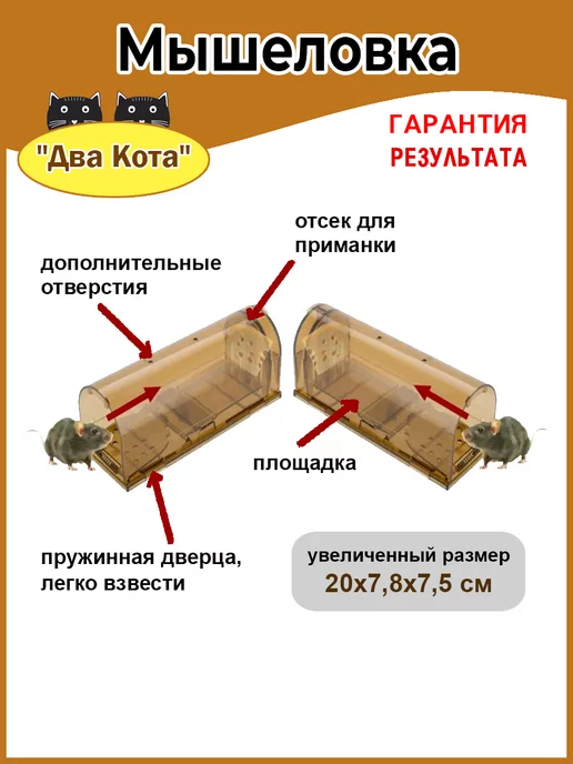 Beauty Garden Мышеловка для мышей пластиковая, гуманная, прозрачная 2 шт, 2 шт