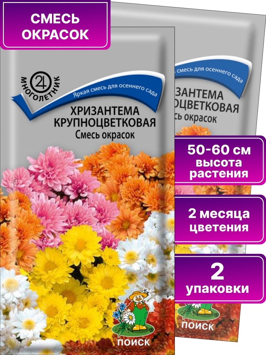 Семена цветов / Хризантема крупноцветковая «Смесь окрасок» ПОИСК 67307796  купить в интернет-магазине Wildberries