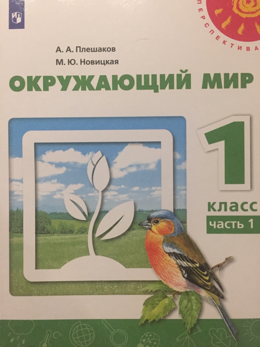 0 класс просвещение. Окружающий мир 1 класс Плешаков Новицкая перспектива. Плешаков Новицкая окружающий мир 1 класс учебник. Плешаков окр мир 1 класс перспектива.