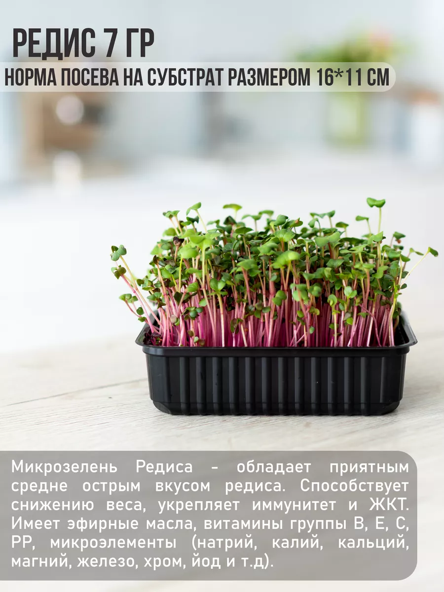 Микрозелень набор для выращивания 15 ур. семена микрозелени Vitaminarium  67874400 купить за 688 ₽ в интернет-магазине Wildberries