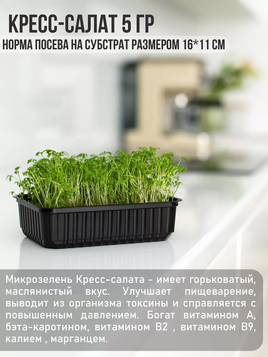 Микрозелень набор для выращивания 15 ур. семена микрозелени Vitaminarium  67874400 купить за 688 ₽ в интернет-магазине Wildberries