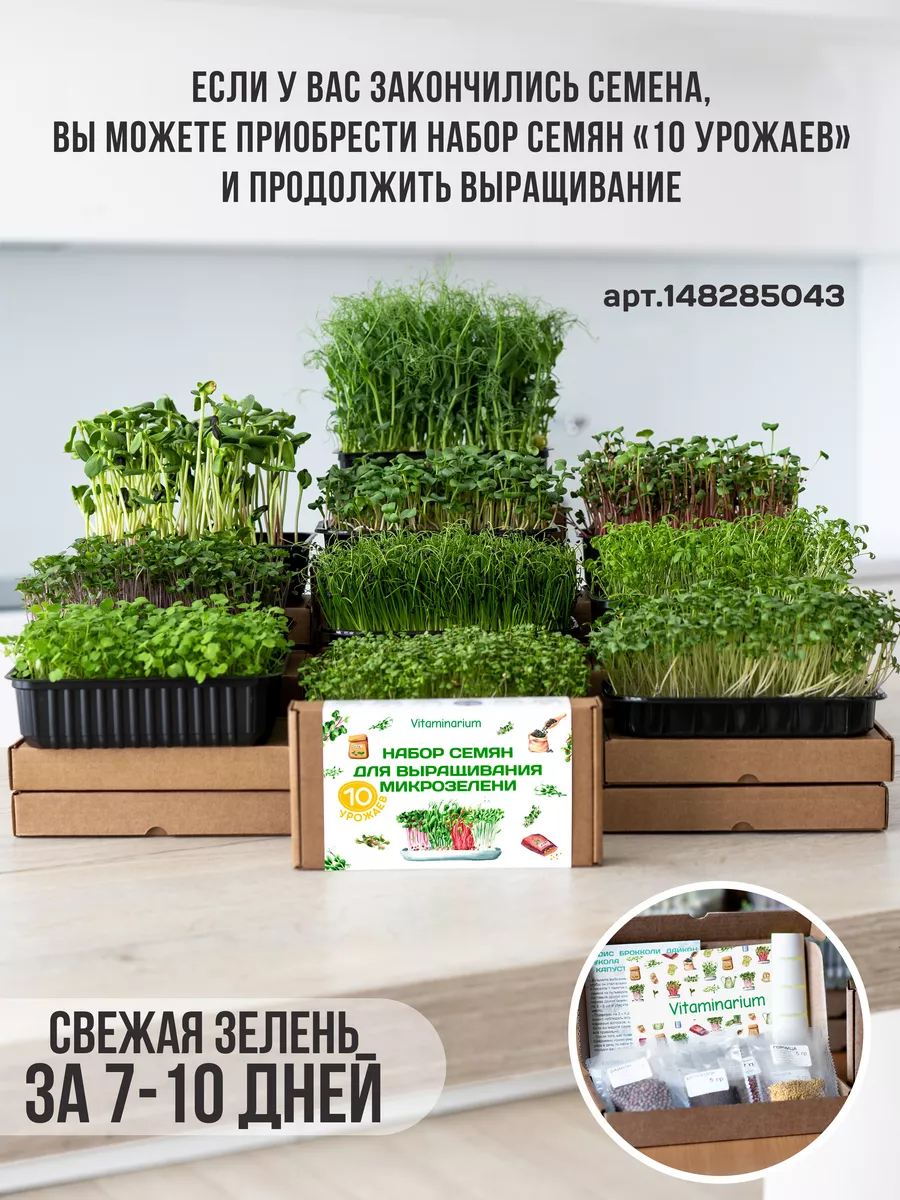 Микрозелень набор для выращивания 15 ур. семена микрозелени Vitaminarium  67874400 купить за 688 ₽ в интернет-магазине Wildberries