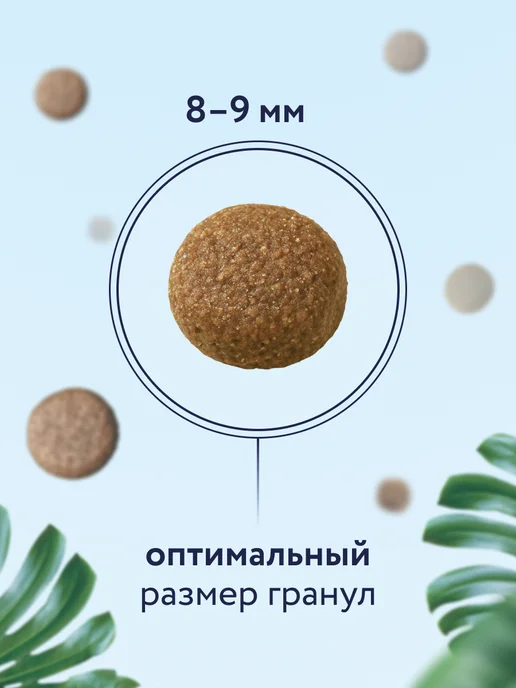 Сухой корм Florida. Грушей для собак, средние, щенки, ягненок, 1 кг, фото 4
