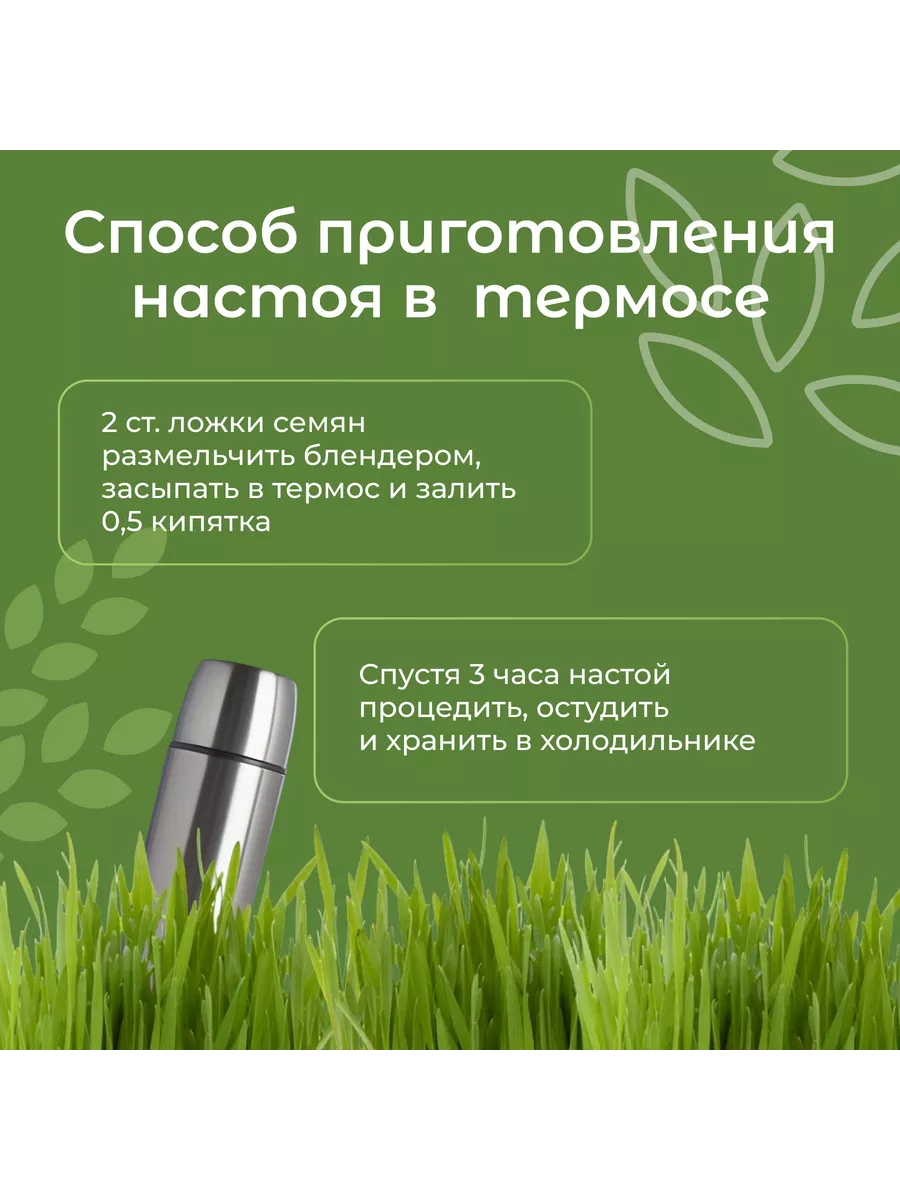 Овес в оболочке 1 кг для заваривания настоев Склад Полезных Продуктов  68198517 купить за 171 ₽ в интернет-магазине Wildberries