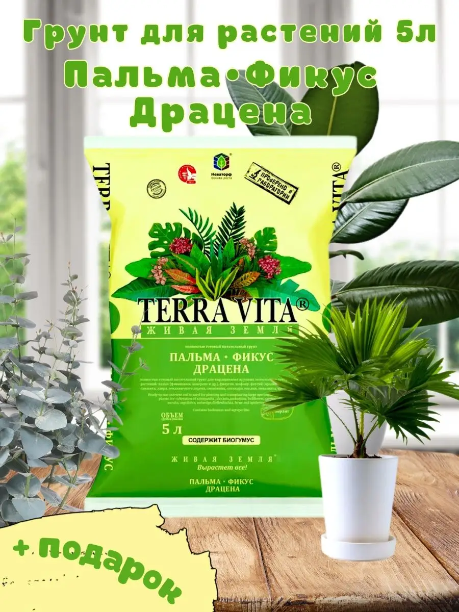 Грунт для пальм, фикусов 5л+подарок Terra Vita 68212081 купить за 299 ₽ в  интернет-магазине Wildberries