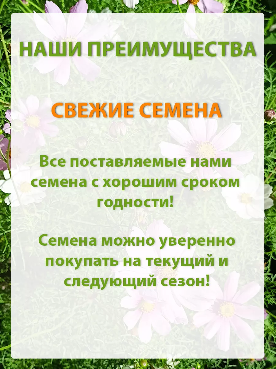 Семена овощей кабачков для посадки на рассаду в сад Агрофирма Аэлита  68472762 купить в интернет-магазине Wildberries