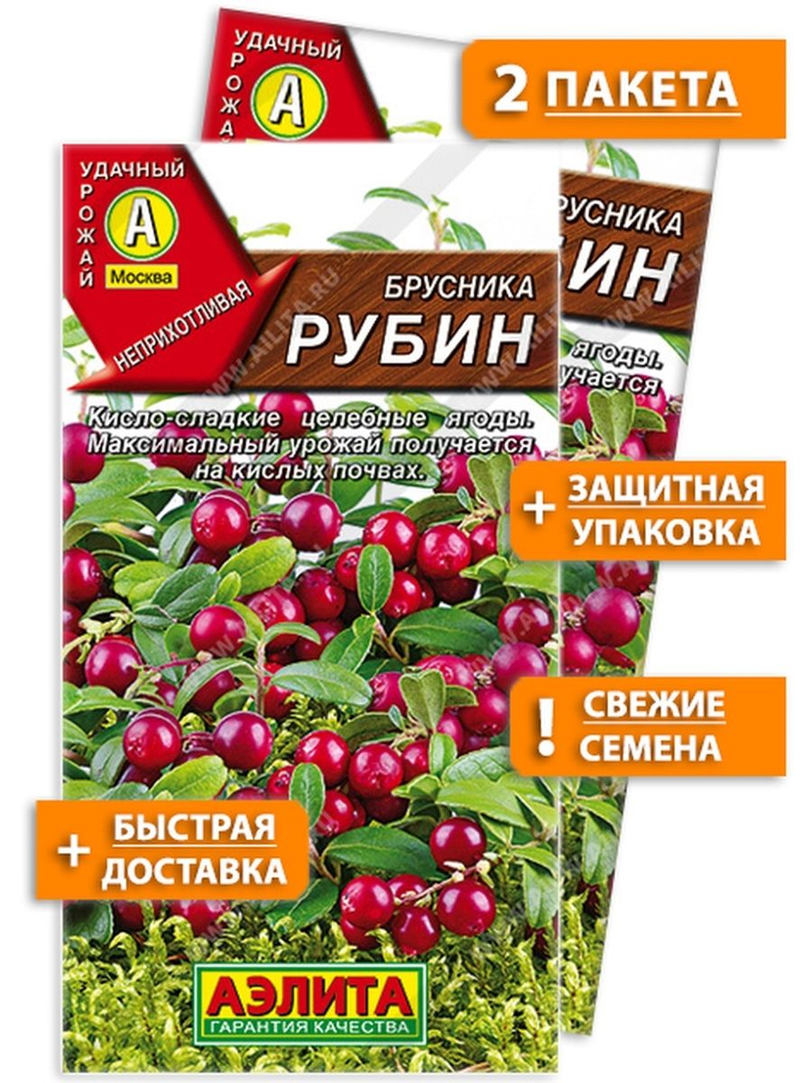 Семена брусники. Семена брусника Рубин. Брусника Рубин 20шт Гавриш. Сорт брусники Рубин.