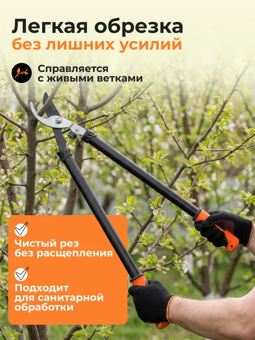 startul Сучкорез садовый ручной для деревьев и кустов, садовый ручной деревьев и, фото 2