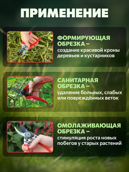 ВОЛАТ Секатор, вариант, фото 3