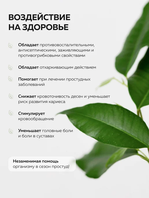 mi&ko Эфирное масло Чайного дерева 5 мл органическое ORGANIC, 5 мл, фото 6